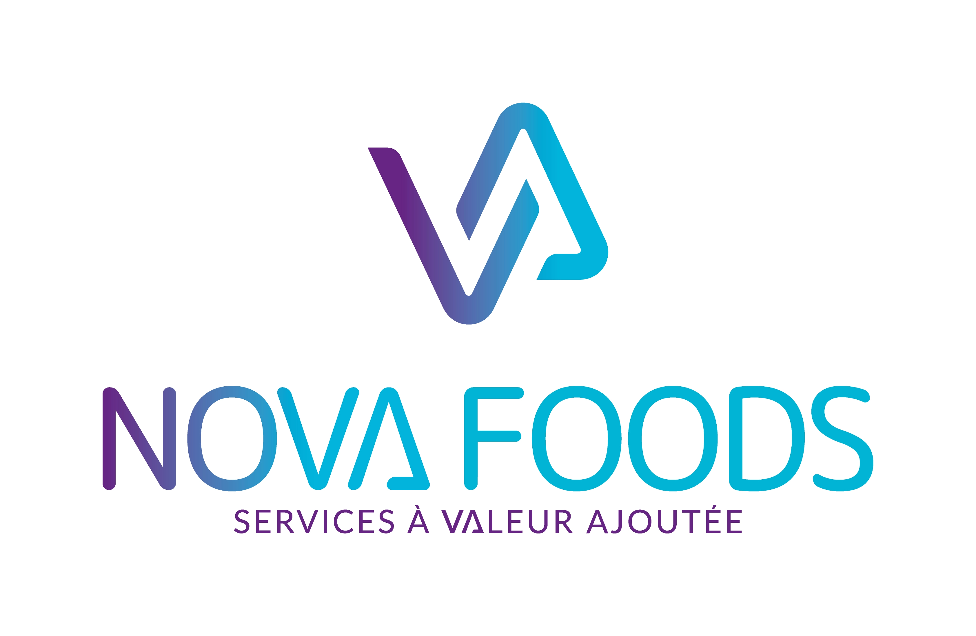 Nova Foods logo