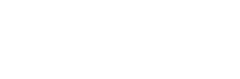 Nova Foods logo